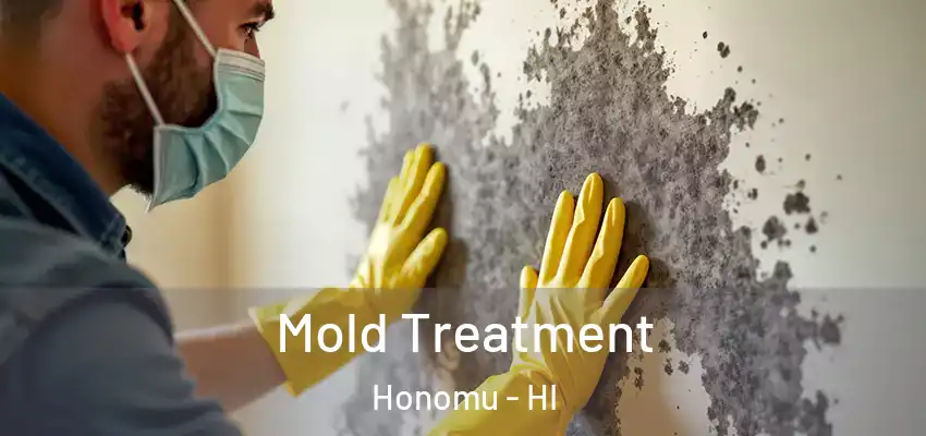  Mold Treatment Honomu - HI