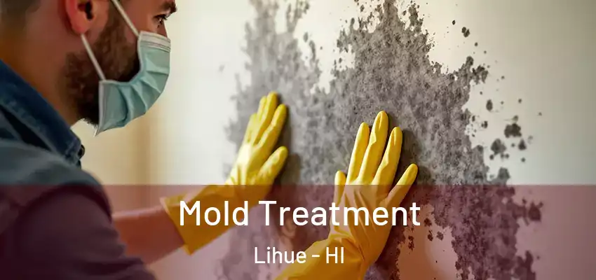  Mold Treatment Lihue - HI