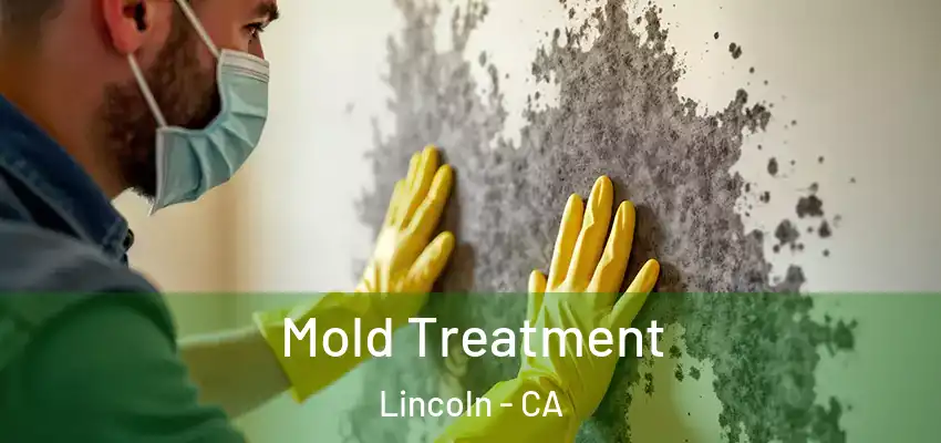  Mold Treatment Lincoln - CA