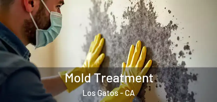  Mold Treatment Los Gatos - CA