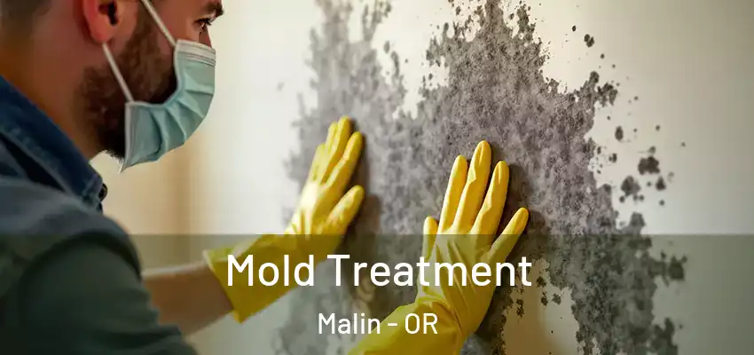  Mold Treatment Malin - OR