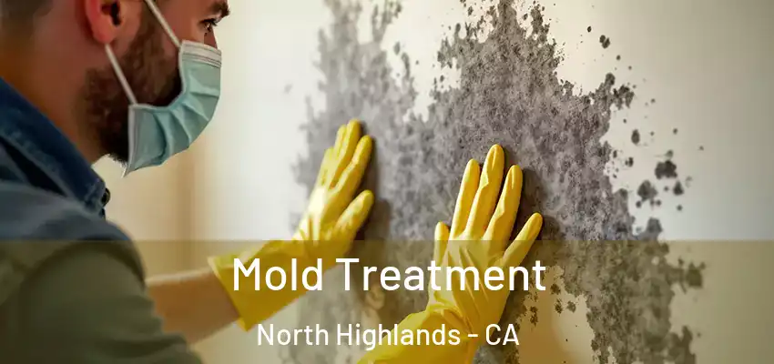  Mold Treatment North Highlands - CA