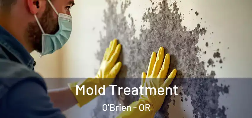  Mold Treatment O'Brien - OR