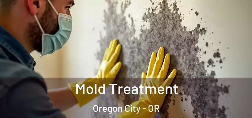  Mold Treatment Oregon City - OR