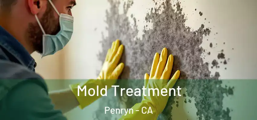  Mold Treatment Penryn - CA