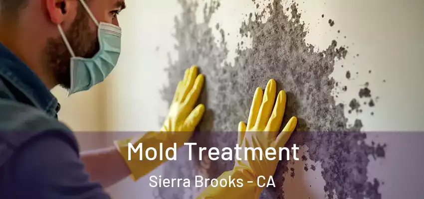 Mold Treatment Sierra Brooks - CA