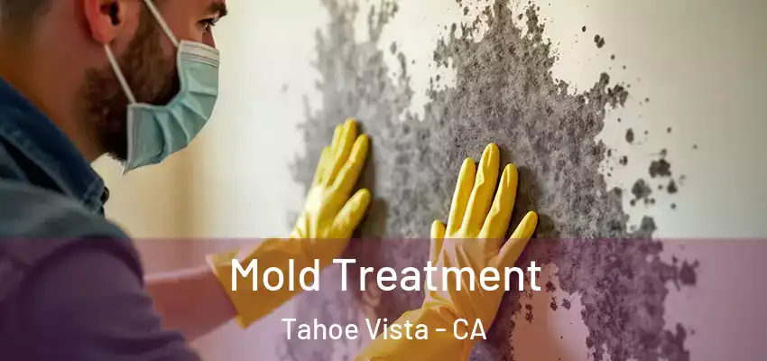  Mold Treatment Tahoe Vista - CA