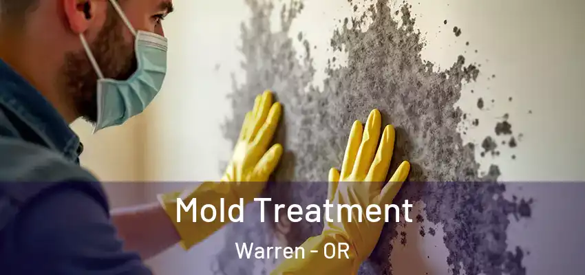  Mold Treatment Warren - OR