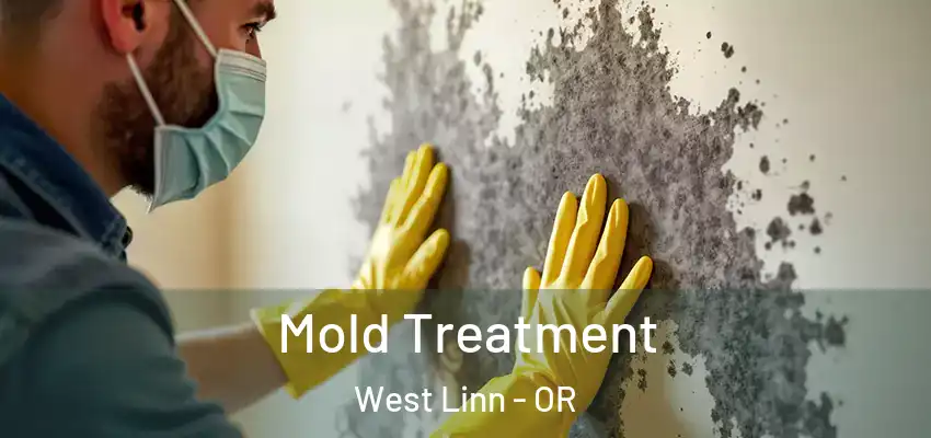 Mold Treatment West Linn - OR