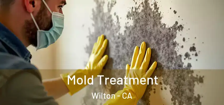  Mold Treatment Wilton - CA