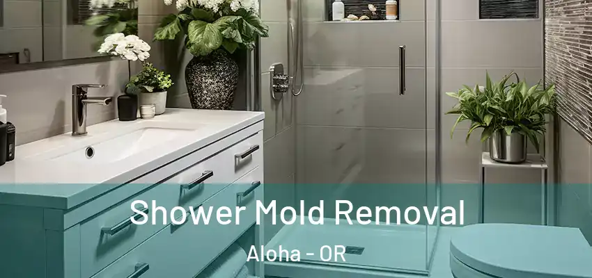  Shower Mold Removal Aloha - OR