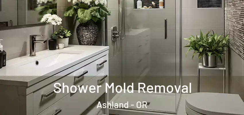  Shower Mold Removal Ashland - OR