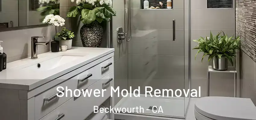  Shower Mold Removal Beckwourth - CA