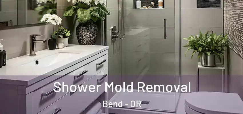  Shower Mold Removal Bend - OR