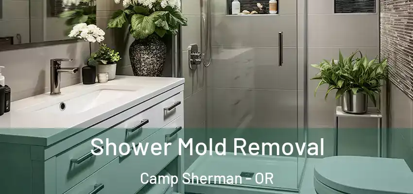  Shower Mold Removal Camp Sherman - OR