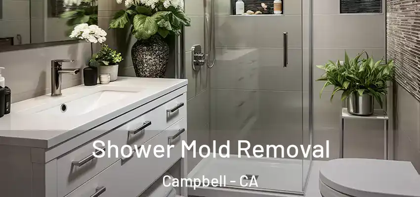  Shower Mold Removal Campbell - CA
