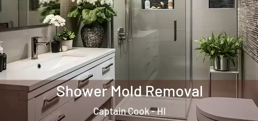 Shower Mold Removal Captain Cook - HI