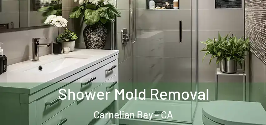  Shower Mold Removal Carnelian Bay - CA