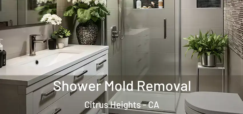  Shower Mold Removal Citrus Heights - CA