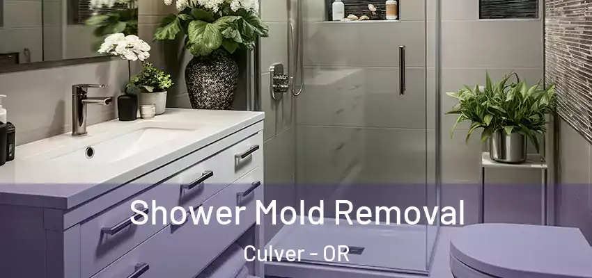  Shower Mold Removal Culver - OR