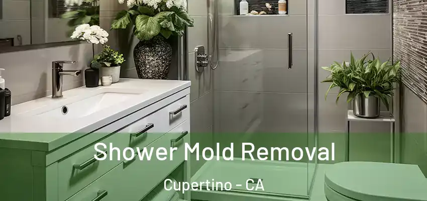  Shower Mold Removal Cupertino - CA