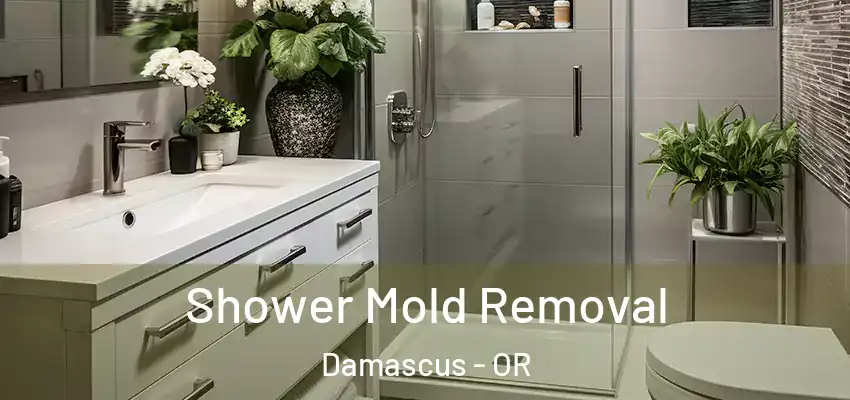  Shower Mold Removal Damascus - OR