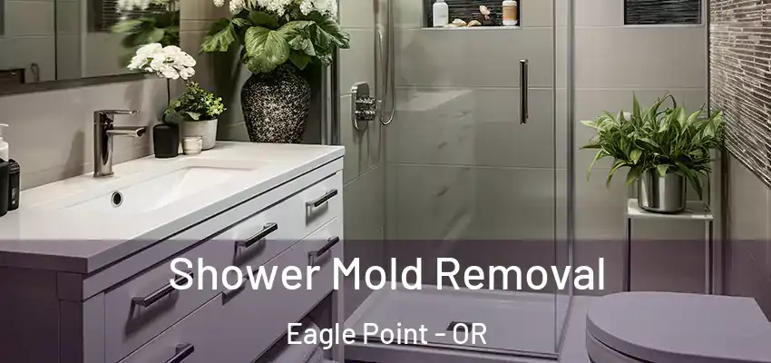  Shower Mold Removal Eagle Point - OR