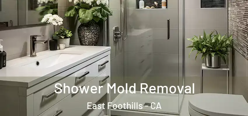  Shower Mold Removal East Foothills - CA