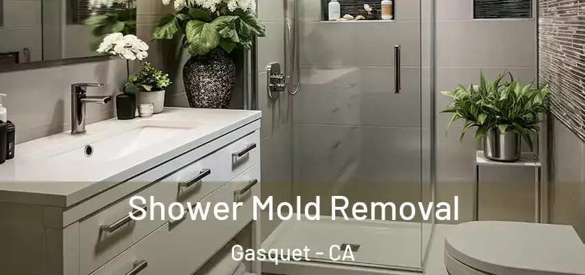 Shower Mold Removal Gasquet - CA