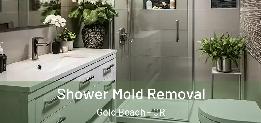  Shower Mold Removal Gold Beach - OR
