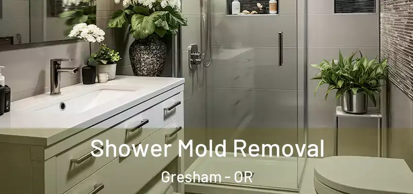  Shower Mold Removal Gresham - OR