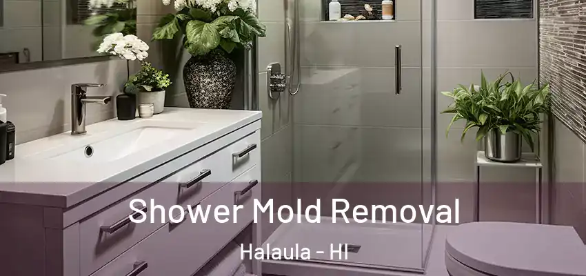  Shower Mold Removal Halaula - HI