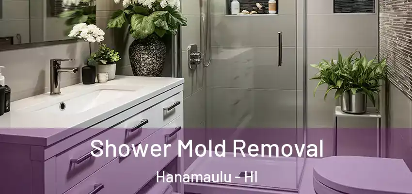  Shower Mold Removal Hanamaulu - HI