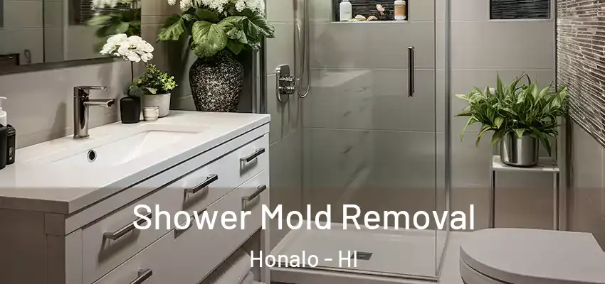  Shower Mold Removal Honalo - HI