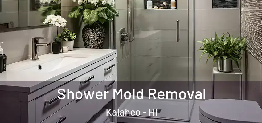  Shower Mold Removal Kalaheo - HI