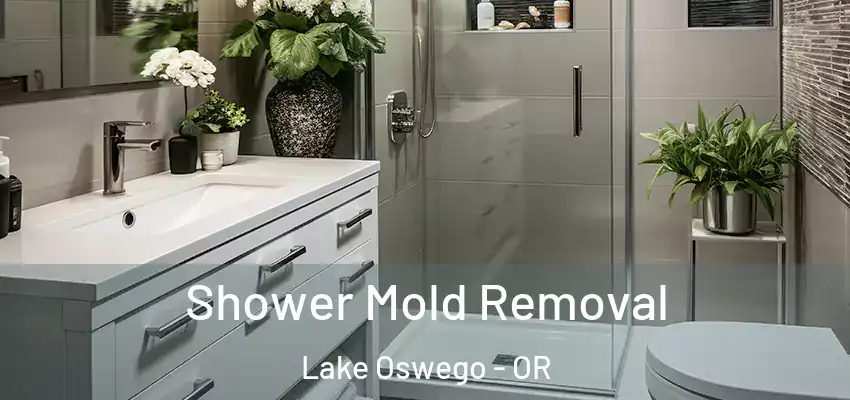 Shower Mold Removal Lake Oswego - OR