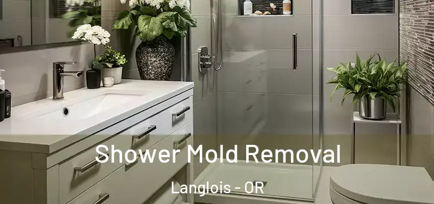  Shower Mold Removal Langlois - OR
