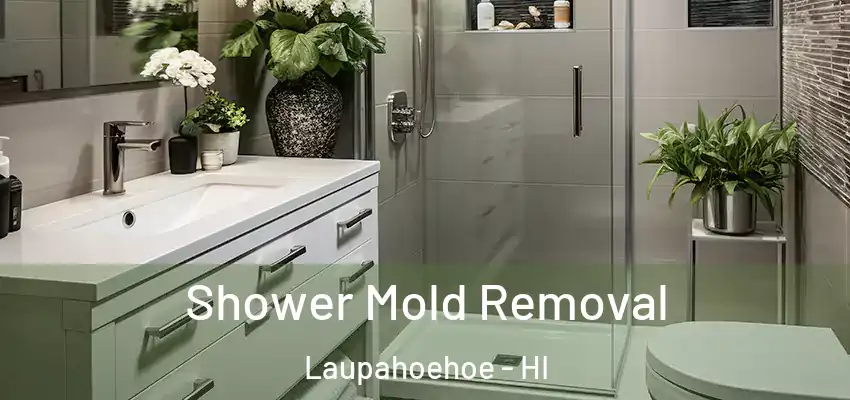 Shower Mold Removal Laupahoehoe - HI