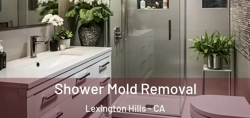  Shower Mold Removal Lexington Hills - CA