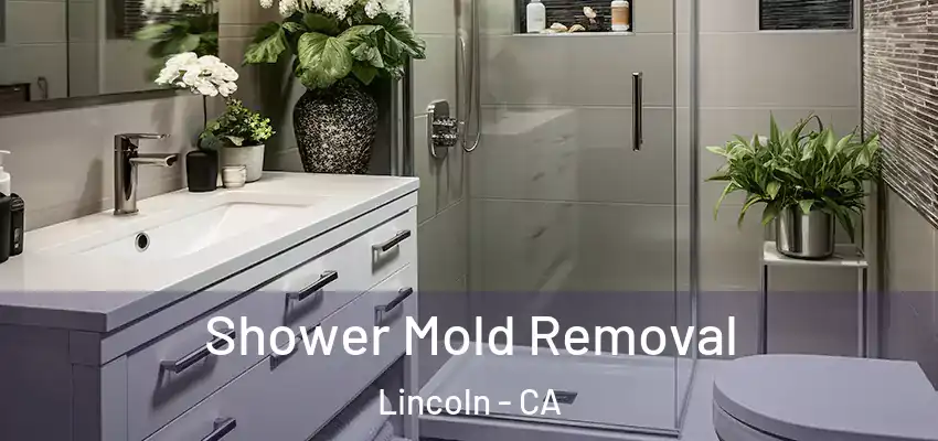 Shower Mold Removal Lincoln - CA