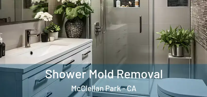  Shower Mold Removal McClellan Park - CA
