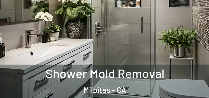  Shower Mold Removal Milpitas - CA