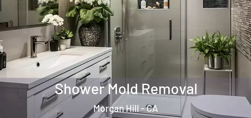  Shower Mold Removal Morgan Hill - CA