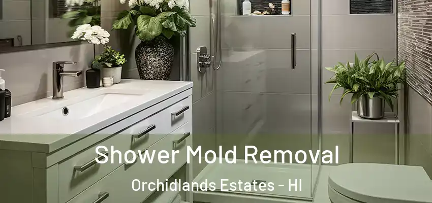  Shower Mold Removal Orchidlands Estates - HI