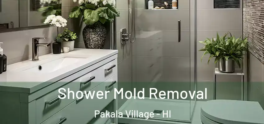  Shower Mold Removal Pakala Village - HI