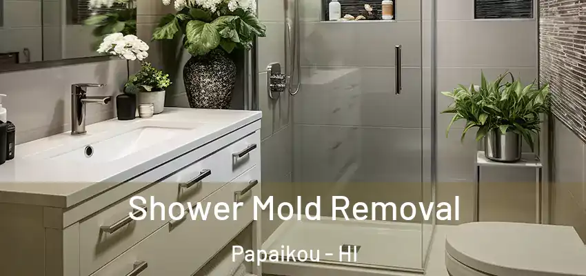  Shower Mold Removal Papaikou - HI