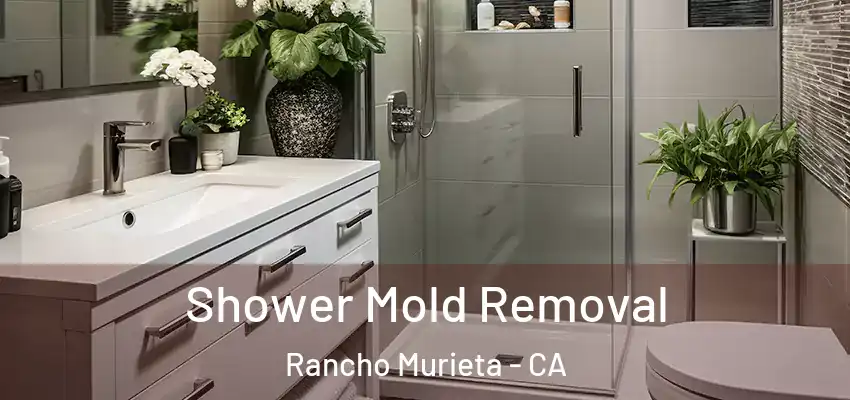  Shower Mold Removal Rancho Murieta - CA