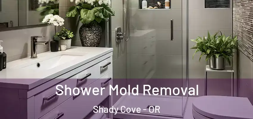  Shower Mold Removal Shady Cove - OR