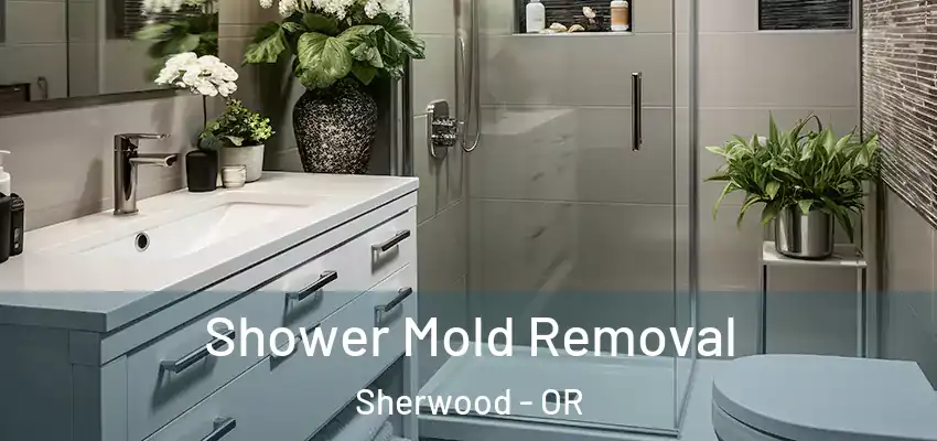 Shower Mold Removal Sherwood - OR