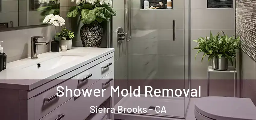  Shower Mold Removal Sierra Brooks - CA